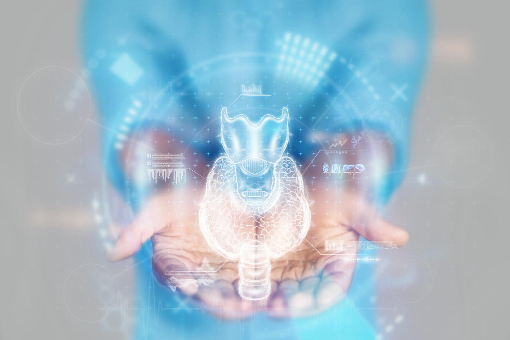 甲狀腺亢進是不是病？功能醫學揭密粒線體與代謝總開關的失衡原因