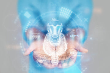 甲狀腺亢進是不是病？功能醫學揭密粒線體與代謝總開關的失衡原因