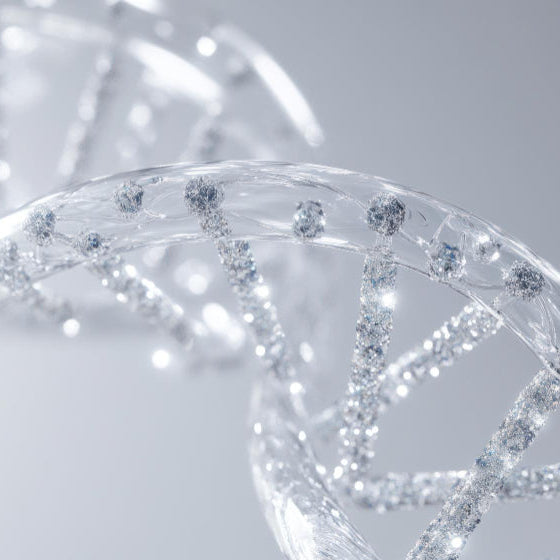 Lifestyle/Chronic Disease/Drug Risk Genes GENO‑RISK 