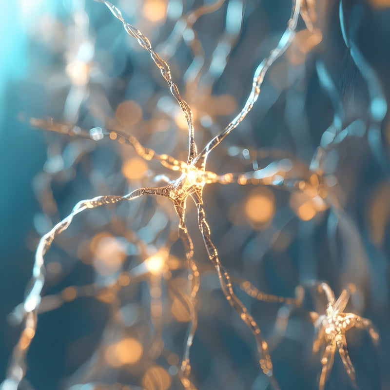 Hidden Stress Marker – Kryptopyrrole