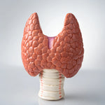 甲狀腺動力評估 ThyroFlex Panel